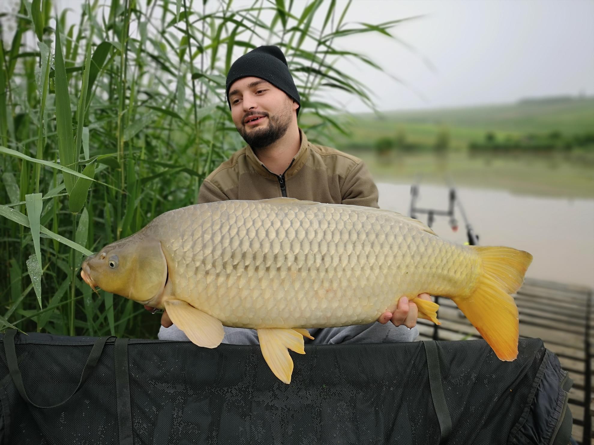 Păușești - img20190605091712.jpg